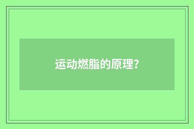 运动燃脂的原理？