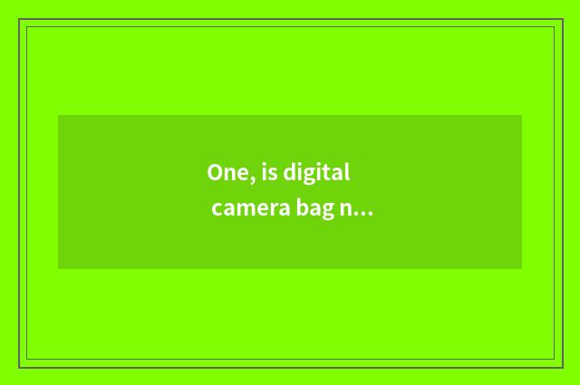 One, is digital camera bag necessary to buy?