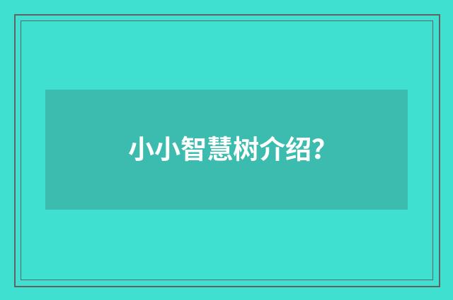 小小智慧树介绍？