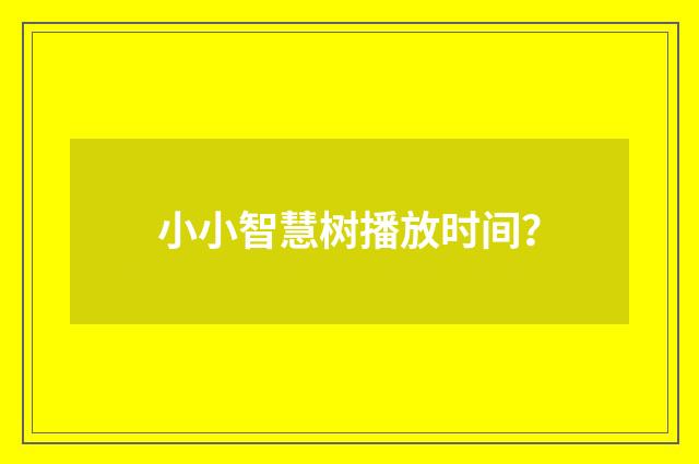 小小智慧树播放时间？