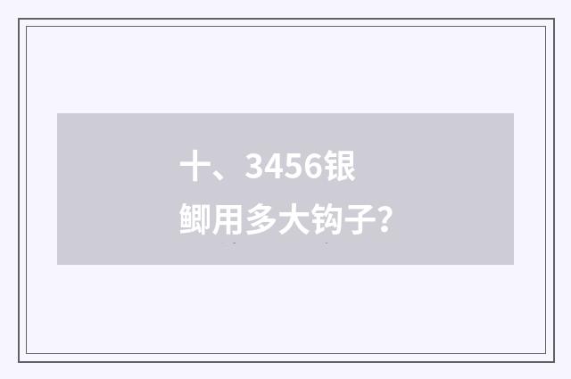 十、3456银鲫用多大钩子？