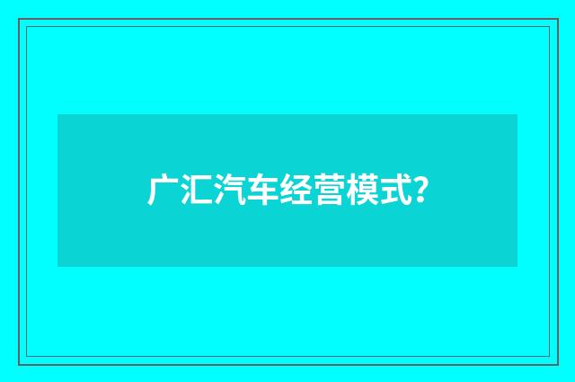 广汇汽车经营模式?