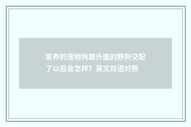 家养的宠物狗跟外面的野狗交配了以后会怎样？英文双语对照