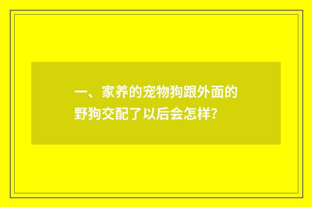 一、家养的宠物狗跟外面的野狗交配了以后会怎样？