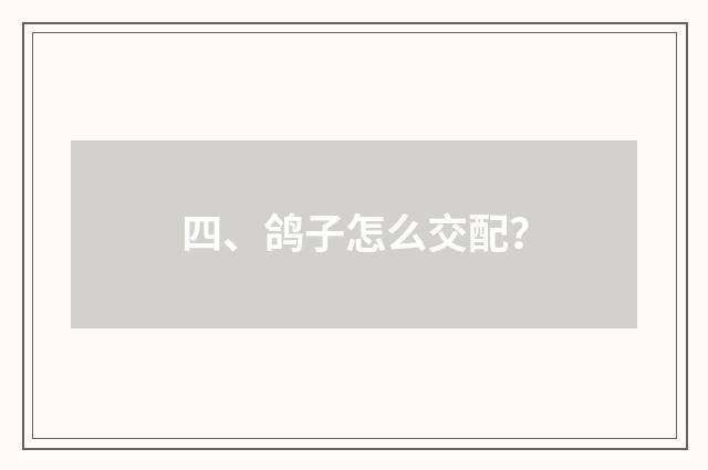四、鸽子怎么交配？