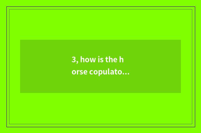 3, how is the horse copulatory?