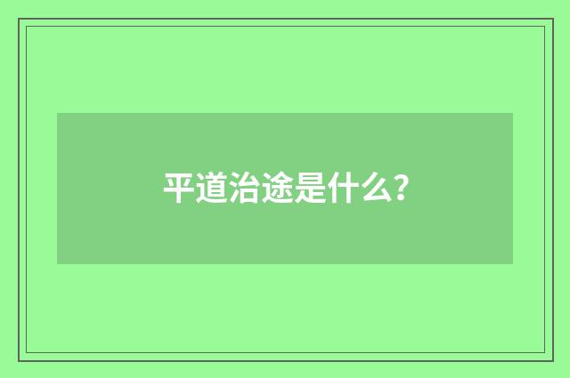 平道治途是什么？