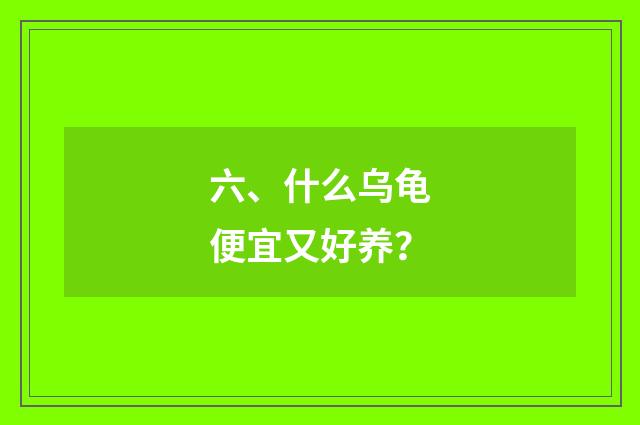 六、什么乌龟便宜又好养?