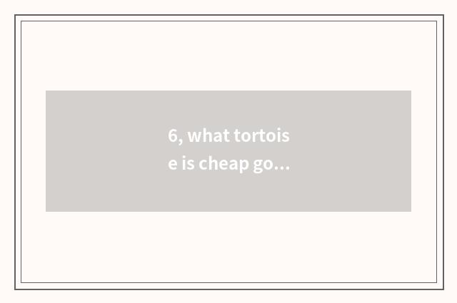 6, what tortoise is cheap good raise?