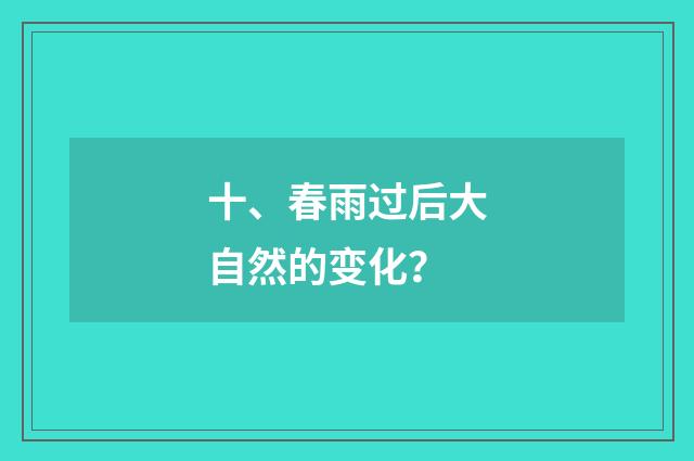 十、春雨过后大自然的变化？