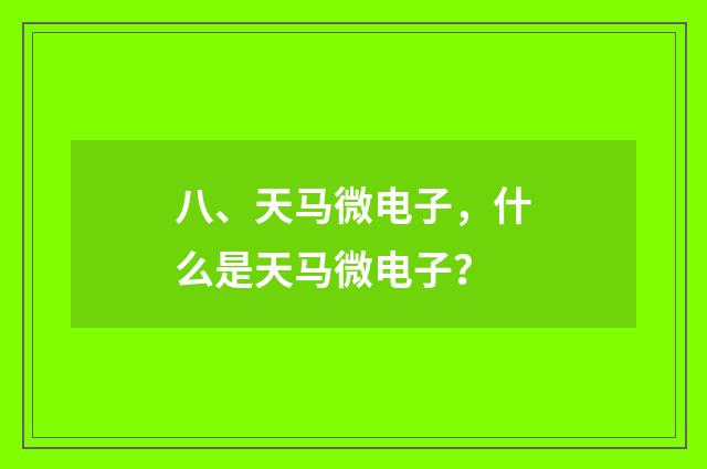 八、天马微电子，什么是天马微电子？