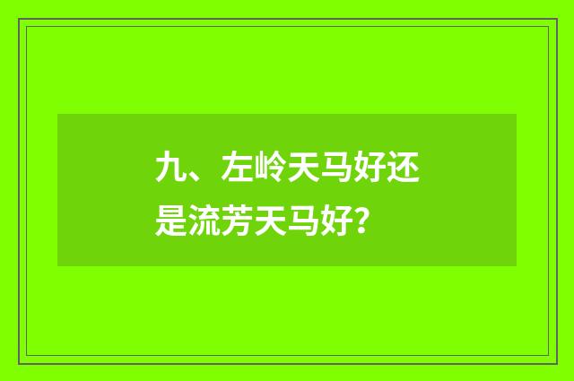 九、左岭天马好还是流芳天马好？