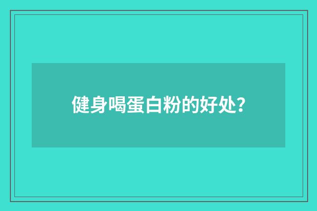 健身喝蛋白粉的好处？