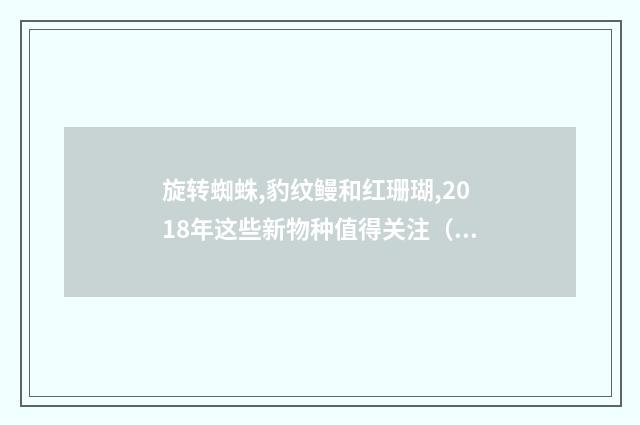 旋转蜘蛛,豹纹鳗和红珊瑚,2018年这些新物种值得关注（英语双语阅读）