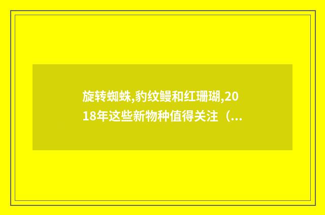 旋转蜘蛛,豹纹鳗和红珊瑚,2018年这些新物种值得关注(英语双语阅读)