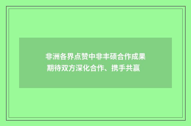 非洲各界点赞中非丰硕合作成果 期待双方深化合作、携手共赢