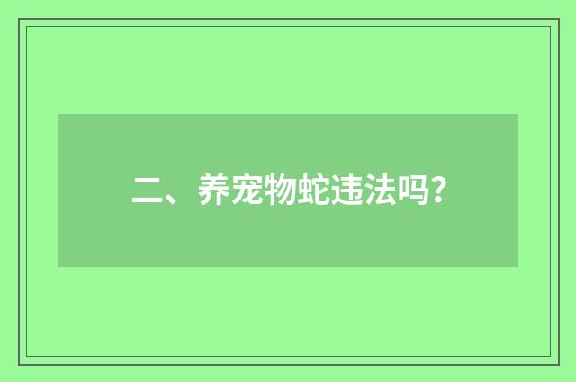 二、养宠物蛇违法吗？