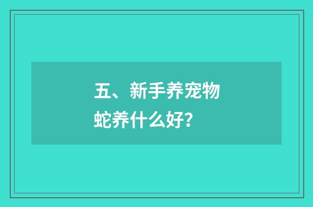 五、新手养宠物蛇养什么好？