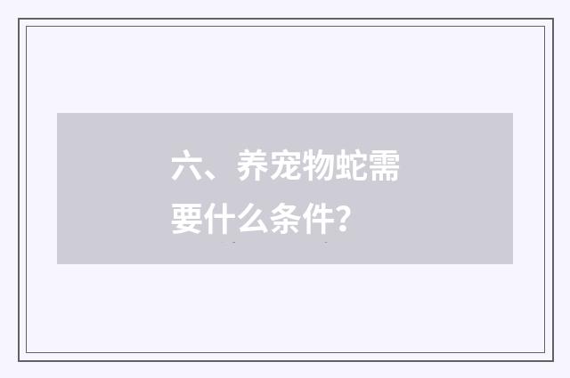 六、养宠物蛇需要什么条件？