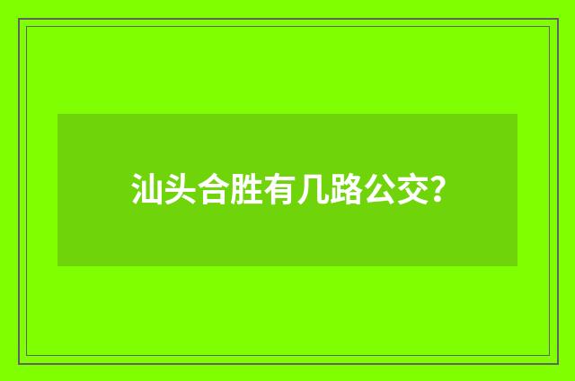 汕头合胜有几路公交?