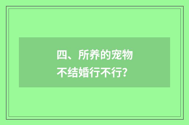 四、所养的宠物不结婚行不行？