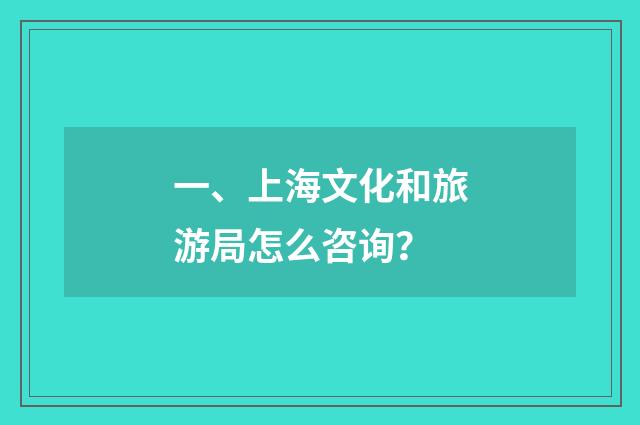 一、上海文化和旅游局怎么咨询？