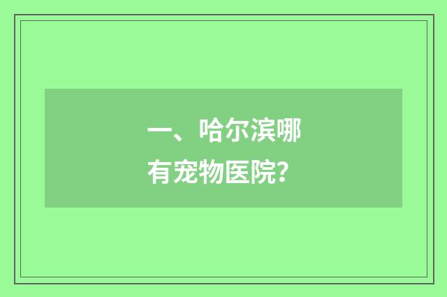 一、哈尔滨哪有宠物医院？