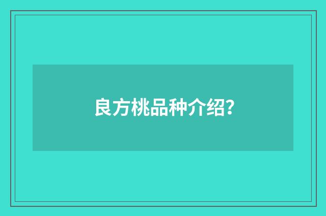 良方桃品种介绍？