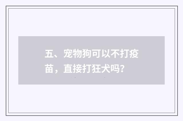 五、宠物狗可以不打疫苗，直接打狂犬吗？