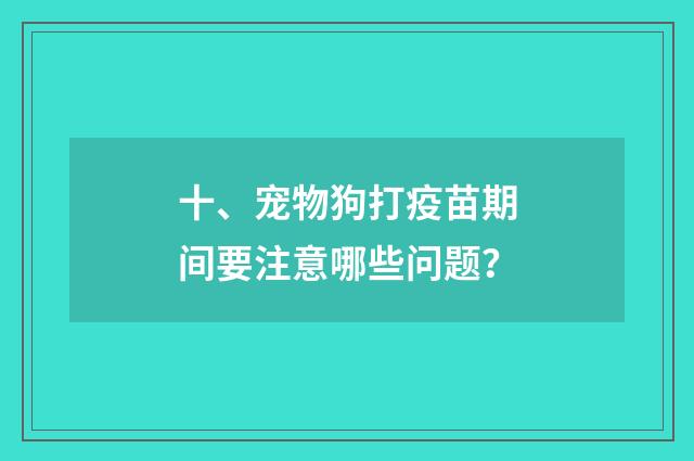 十、宠物狗打疫苗期间要注意哪些问题?