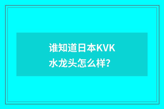 谁知道日本KVK水龙头怎么样？