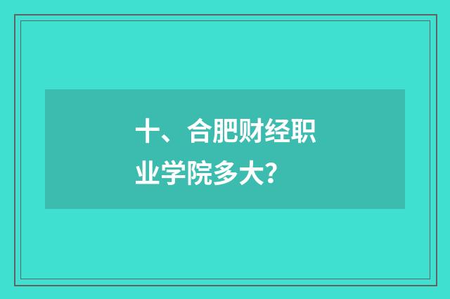 十、合肥财经职业学院多大？