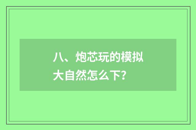 八、炮芯玩的模拟大自然怎么下？