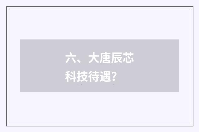 六、大唐辰芯科技待遇？