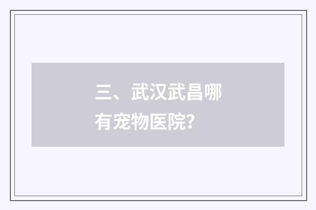 三、武汉武昌哪有宠物医院？