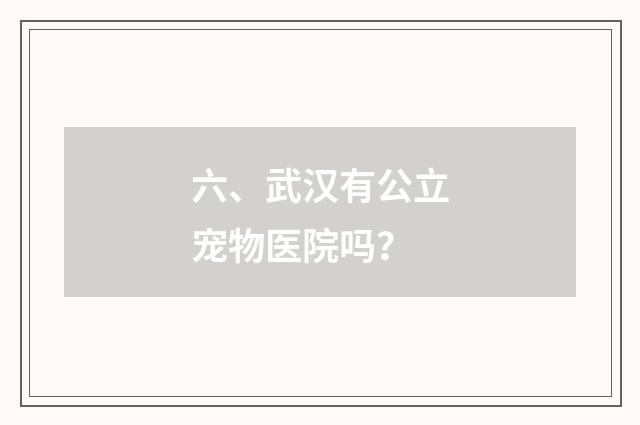 六、武汉有公立宠物医院吗？