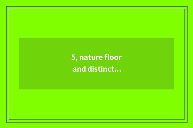 5, nature floor and distinction of entrance nature floor?