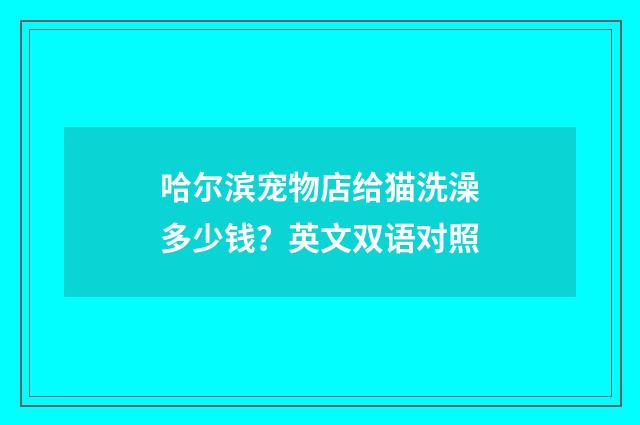 哈尔滨宠物店给猫洗澡多少钱？英文双语对照