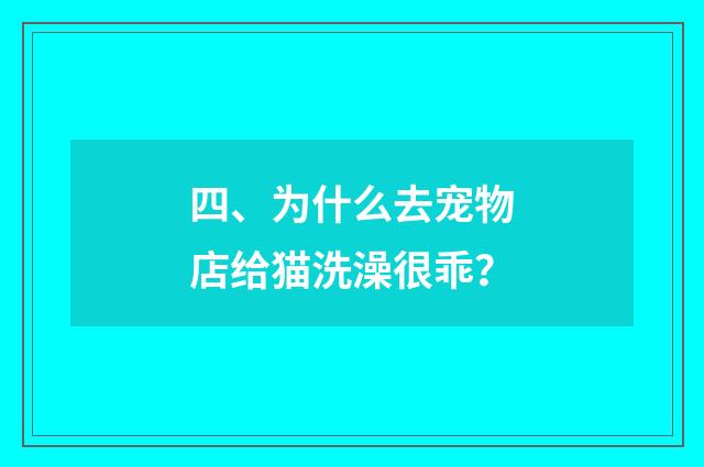 四、为什么去宠物店给猫洗澡很乖?