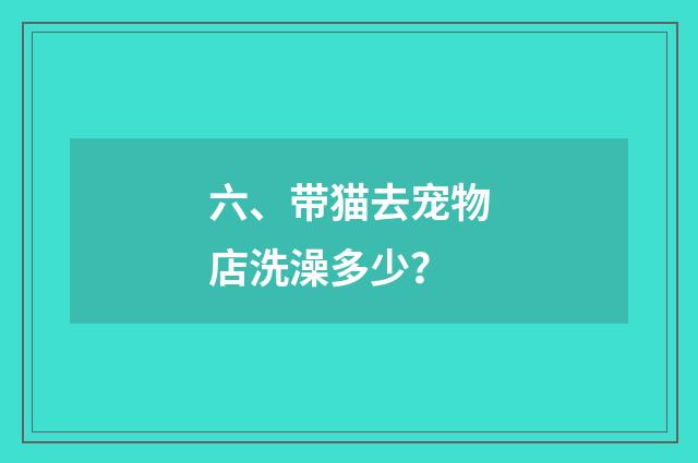 六、带猫去宠物店洗澡多少？