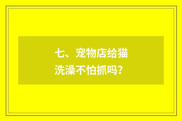 七、宠物店给猫洗澡不怕抓吗？