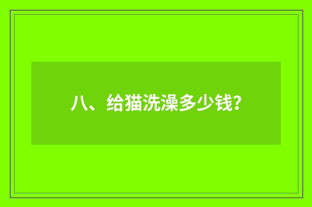 八、给猫洗澡多少钱？