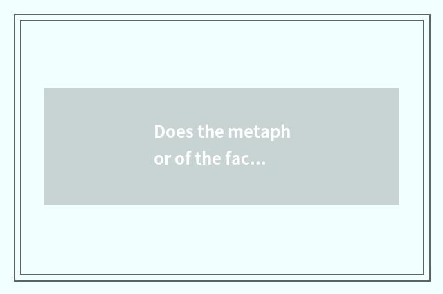 Does the metaphor of the face take in the film?