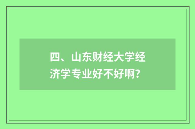 四、山东财经大学经济学专业好不好啊？