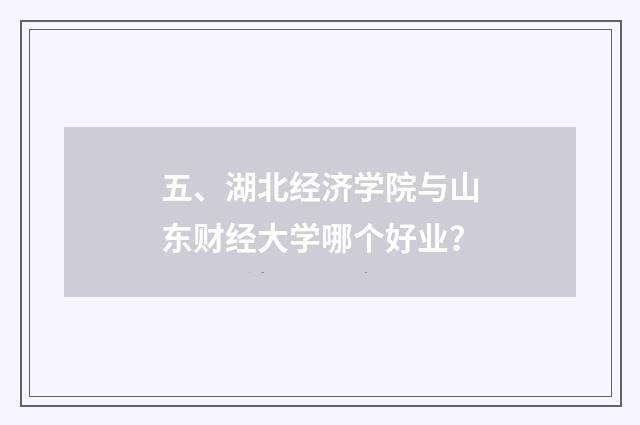 五、湖北经济学院与山东财经大学哪个好业？
