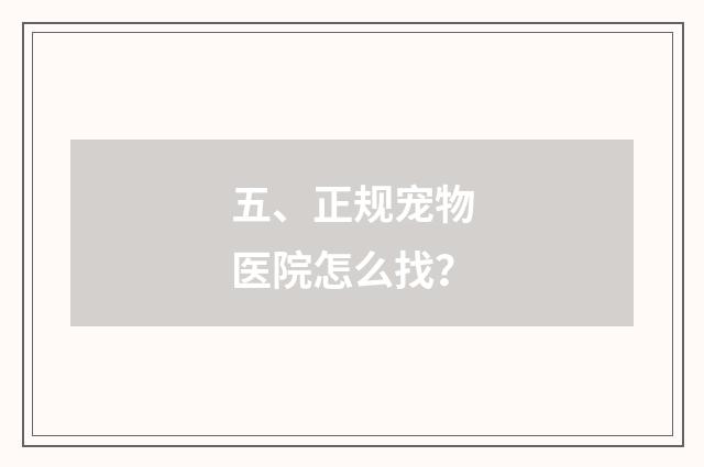 五、正规宠物医院怎么找？