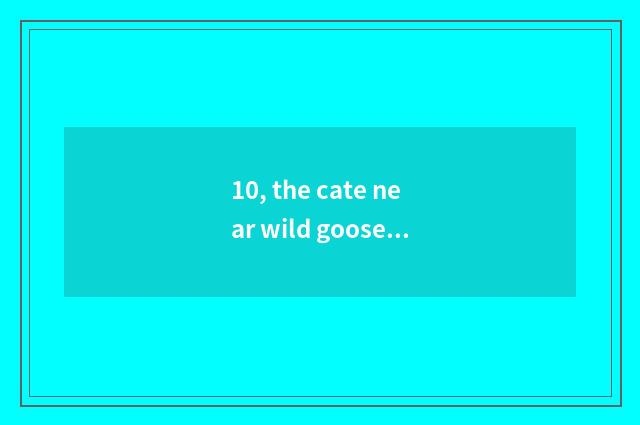 10, the cate near wild goose?