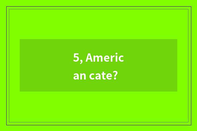 5, American cate?