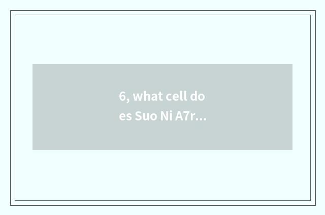6, what cell does Suo Ni A7r use?