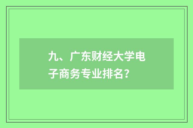 九、广东财经大学电子商务专业排名？